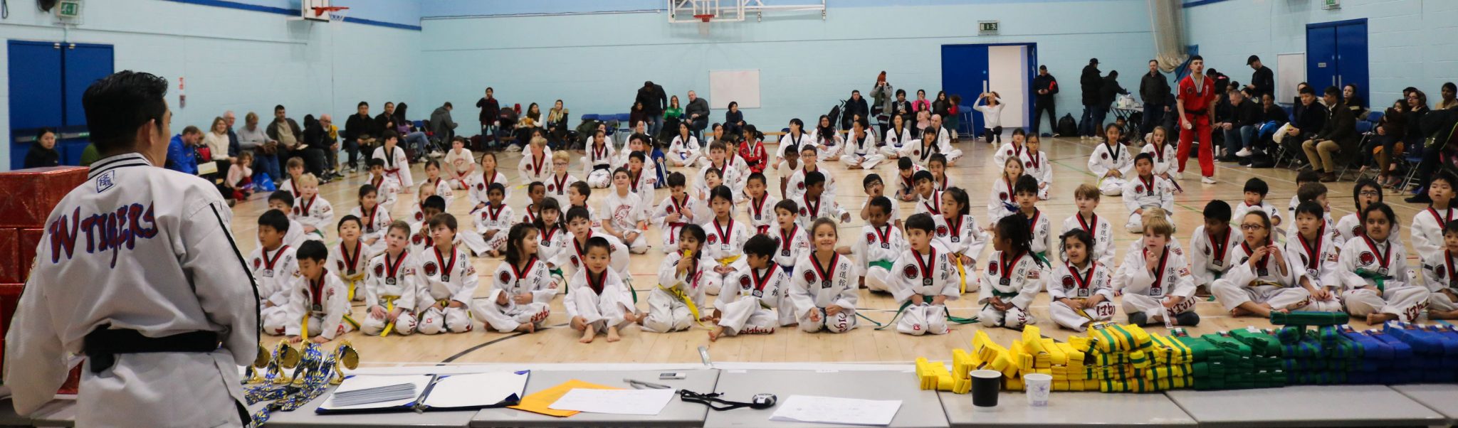 Taekwondo School London